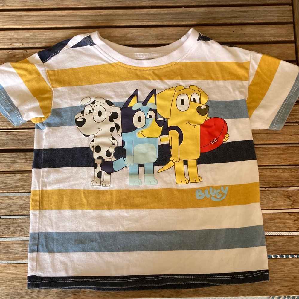 4T Bluey Striped Kids T-Shirt